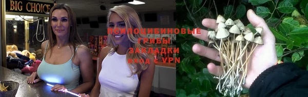 ешки Кодинск