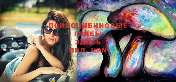 spice Киреевск