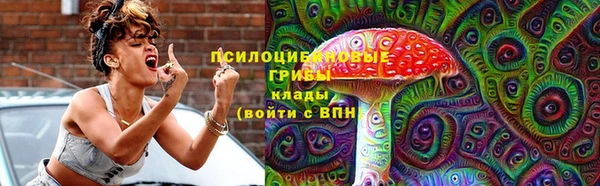 spice Киреевск